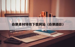 博罗白鹅素材特效下载网站（白鹅摄影）